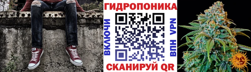 Купить наркотики сайты Апатиты гидра как войти  МЕФ  Псилоцибиновые грибы  Конопля  MDMA  СК  Кокаин 