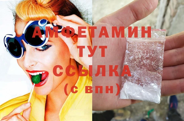 дмт Алзамай
