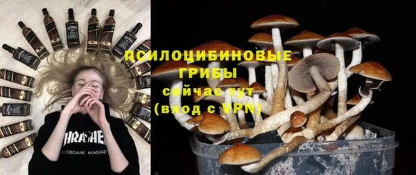 трава Алексин