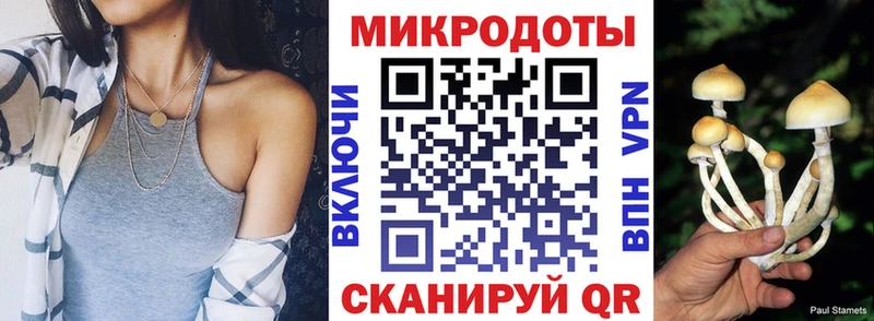 Псилоцибиновые грибы Cubensis  Апатиты 