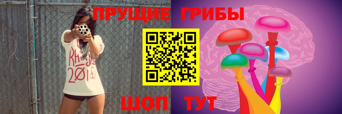 Апатиты  Псилоцибиновые грибы Psilocybine cubensis  Вход с VPN 