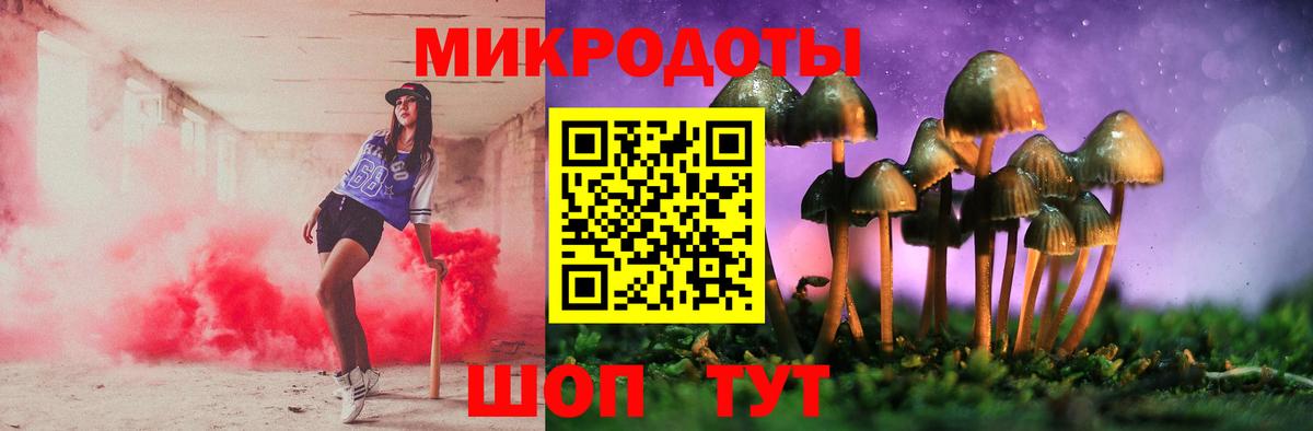 Галлюциногенные грибы прущие грибы Апатиты